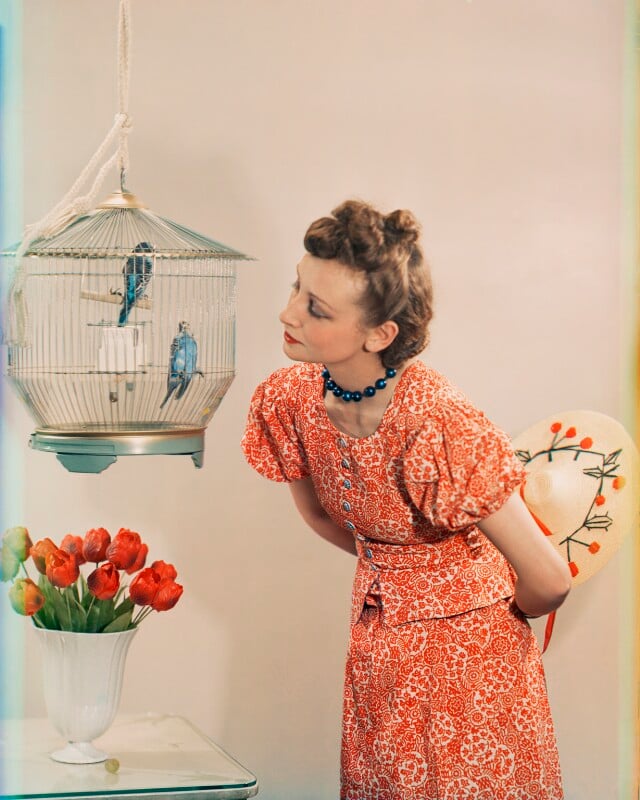 Love birds (rosemary chance (née gregory hood)) npg x220747