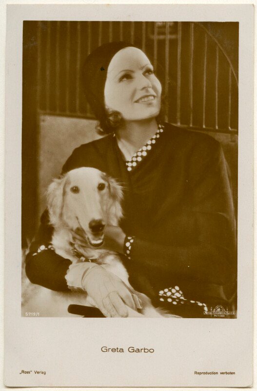 Greta garbo with borzoi dog npg ax160457