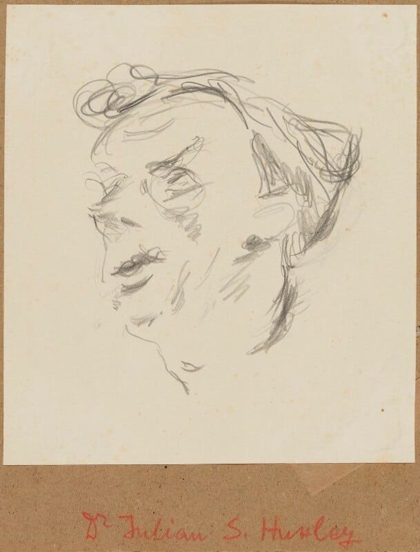 Sir julian huxley npg d13572