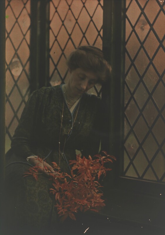 Olive edis npg x45536