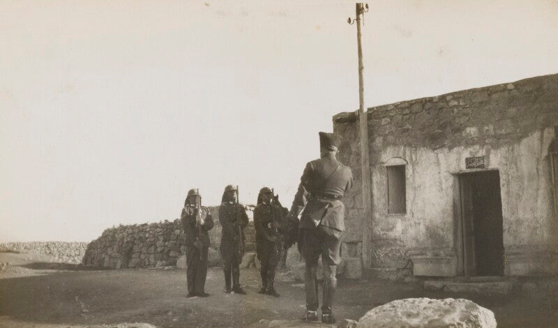 The lisan peninsula npg ax183305