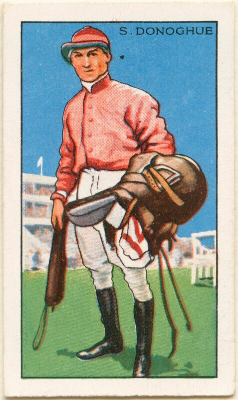 Stephen ('steve') donoghue npg d49018