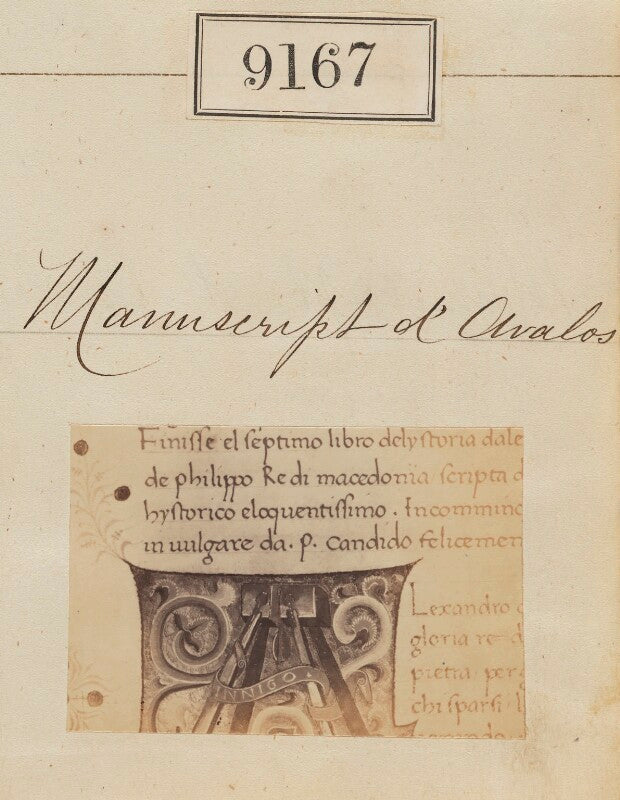 'detail from manuscript d'avalos' npg ax58989