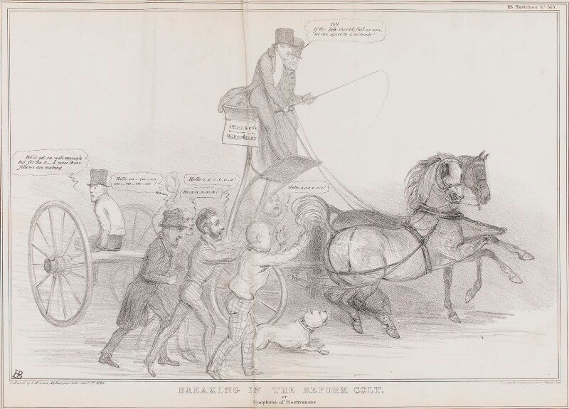 Breaking in the reform colt npg d41299