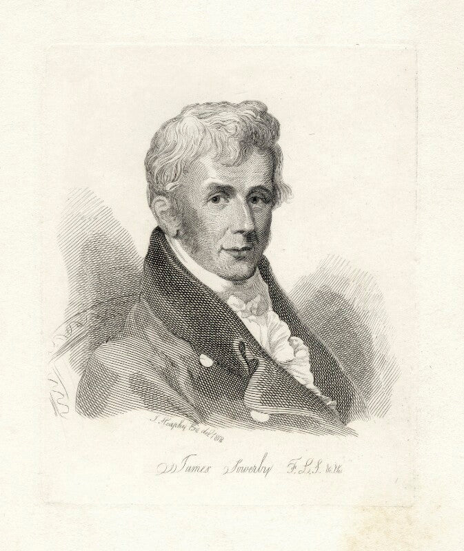 James sowerby npg d22593