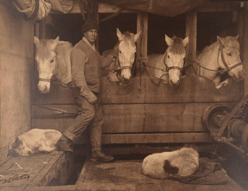 Lawrence oates ('captain oates and siberian ponies aboard the terra nova') npg p1973