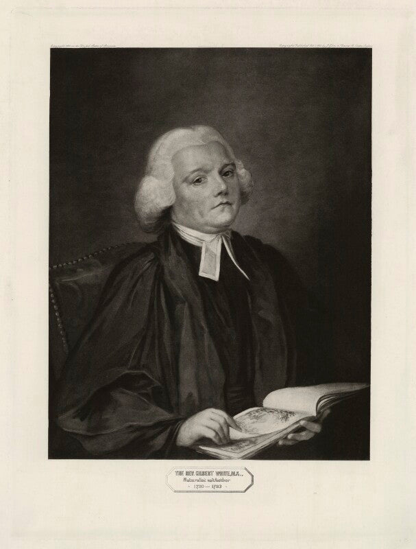 Possibly gilbert white npg d37566