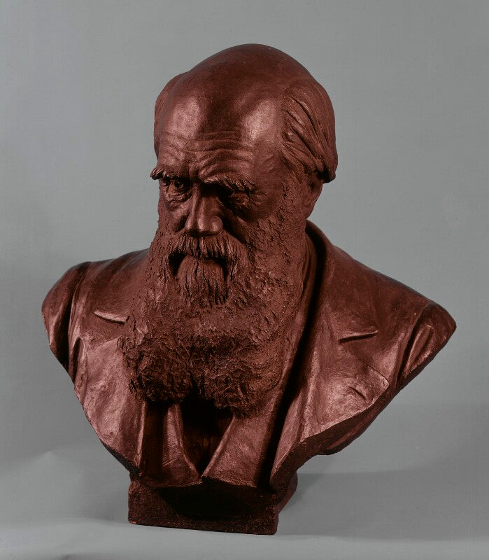 Charles darwin npg 761