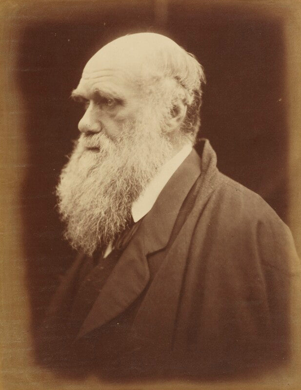 Charles darwin npg p8