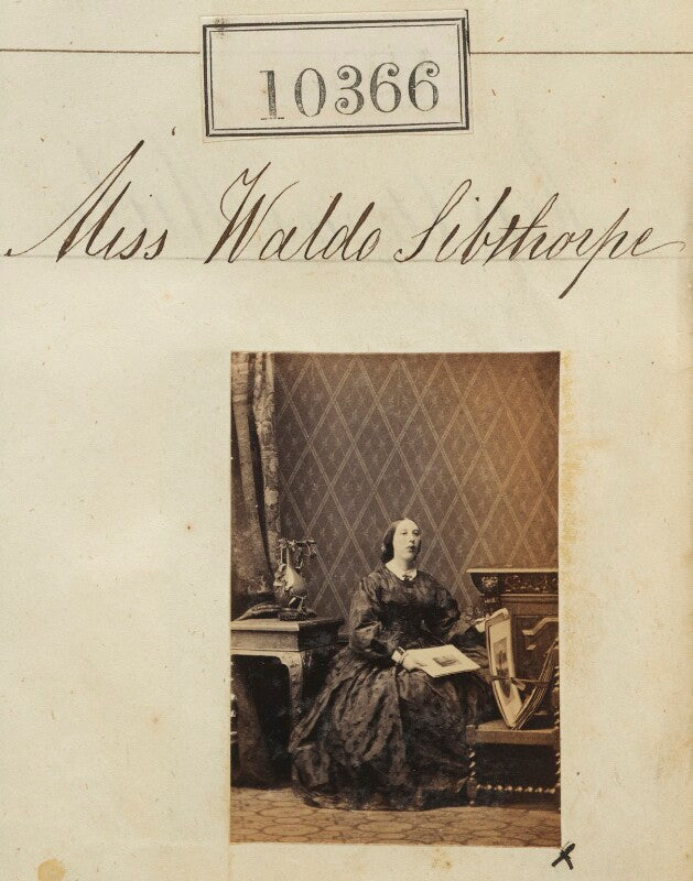 Miss waldo sibthorpe npg ax60080