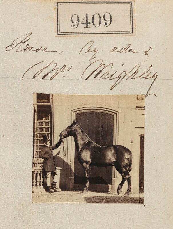 'horse by order of mrs weighley' npg ax59215