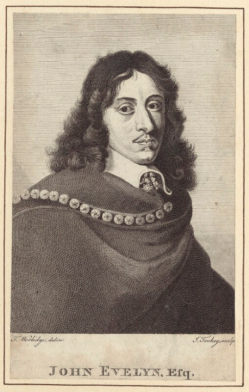 John evelyn npg d30352