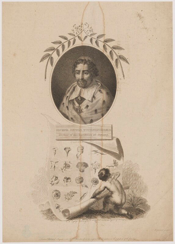 Joseph pitton de tournefort with 'a zephyr disclosing to an astonished world, the system of tournefort' npg d39657