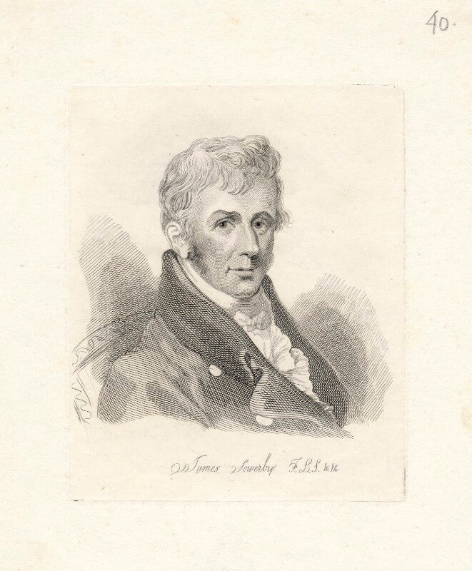 James sowerby npg d22594