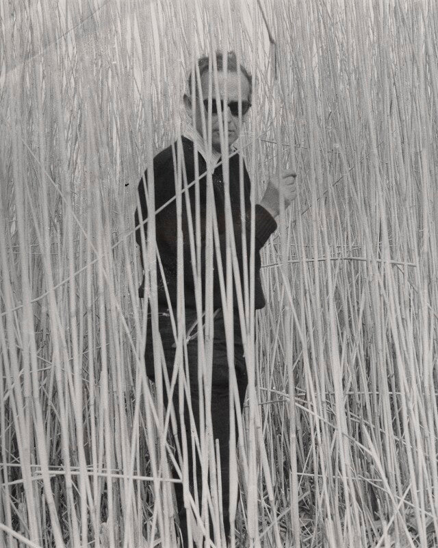 Graham sutherland npg x135674