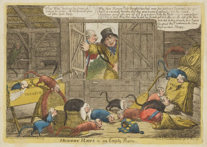 Hungry rats in an empty barn npg d47472