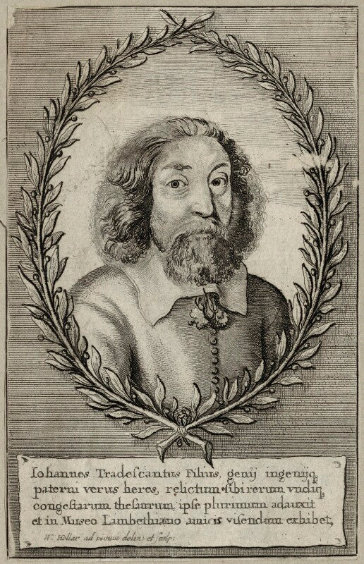 John tradescant the younger npg d28372