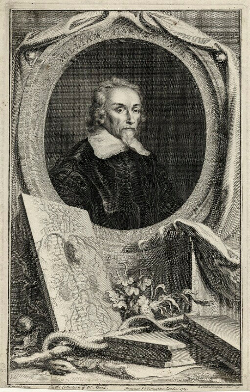 William harvey npg d27271