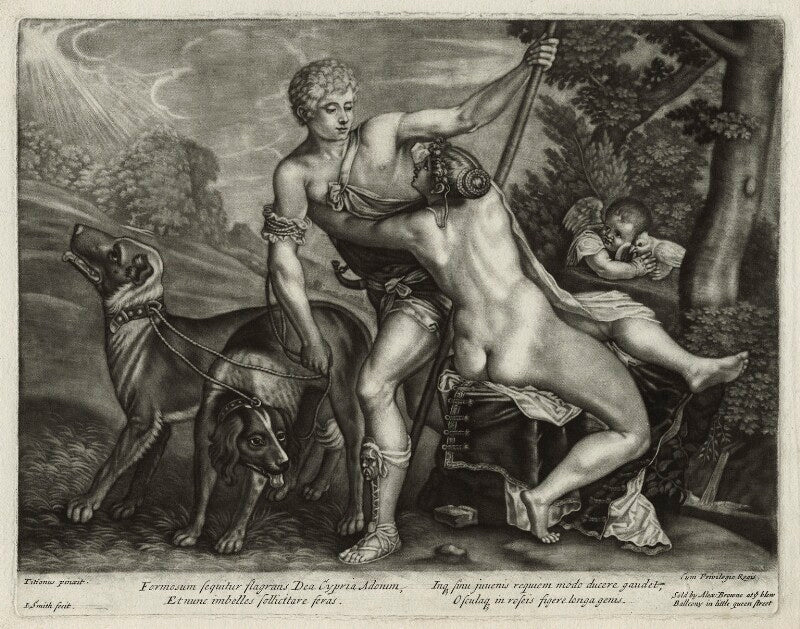 Venus and adonis npg d11455