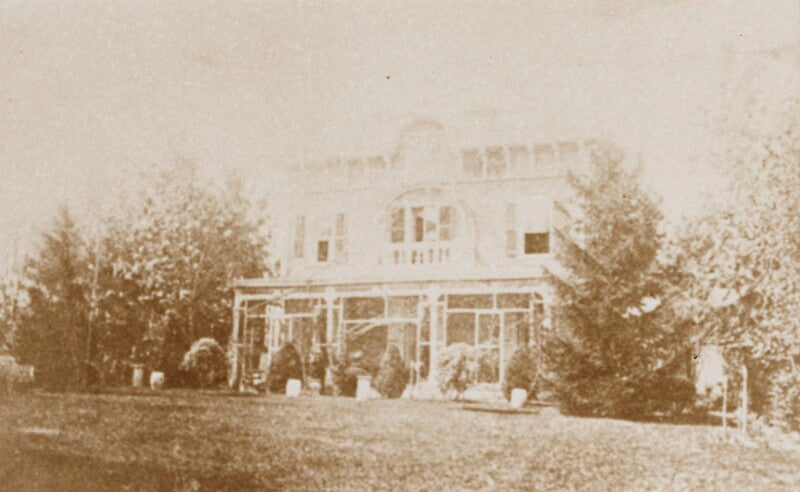 'ivy lodge' npg ax160482