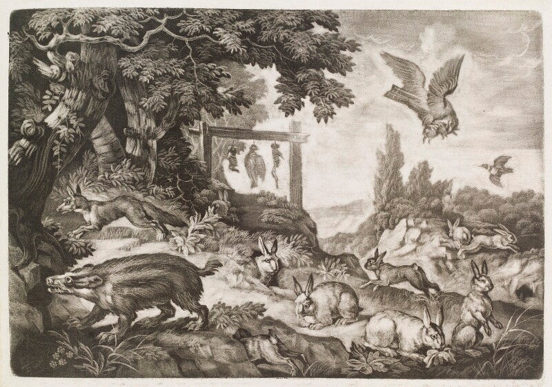 Rabbit warren npg d11767