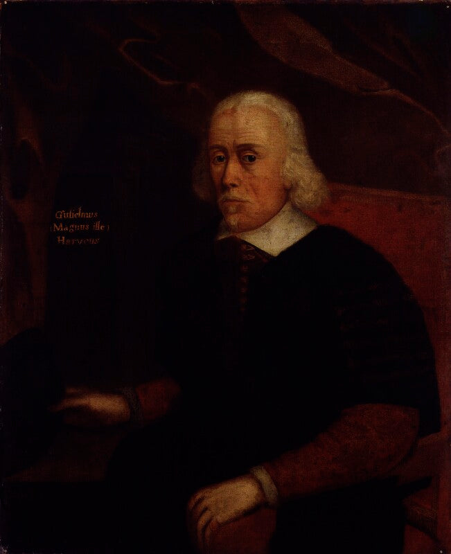 William harvey npg 60
