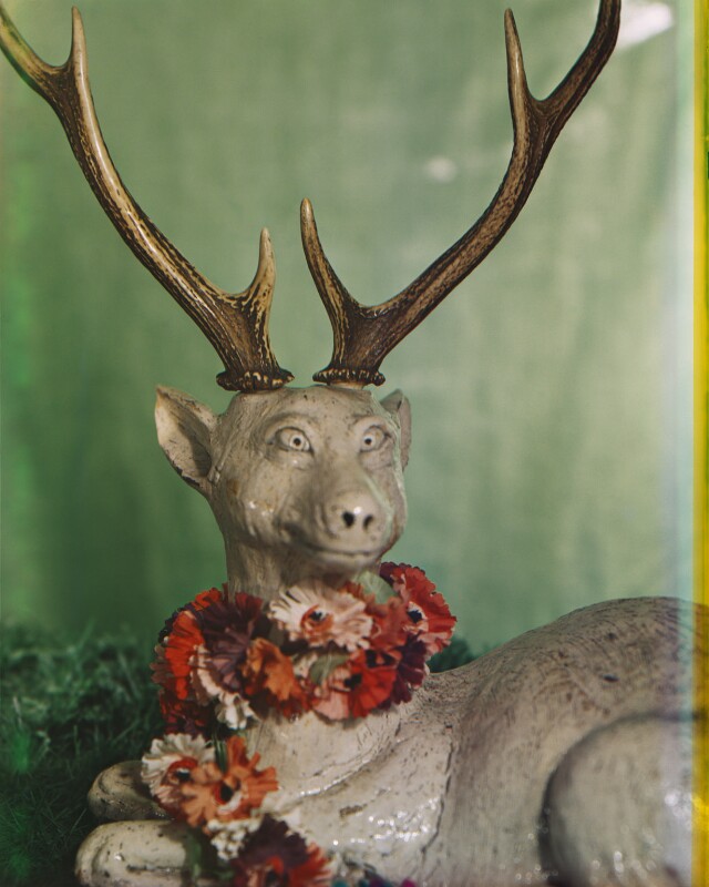 Stag groups npg x222012