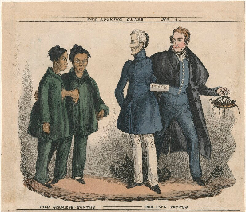 The siamese youths our own youths npg d48799