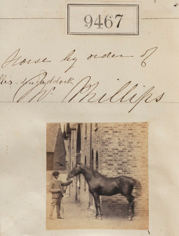 Horse by order of mr phillips npg ax59274