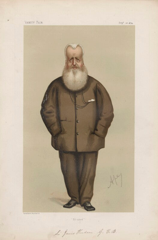 Sir james hudson ('statesmen. no 185.') npg d43659