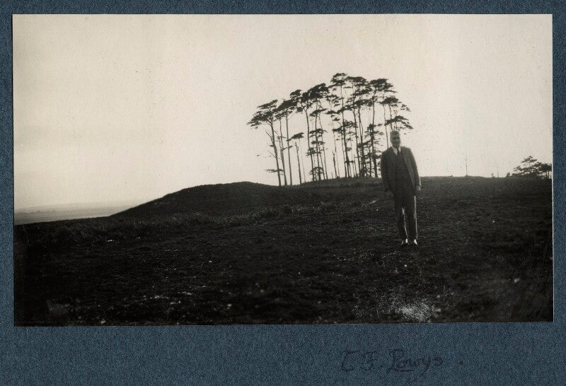 Theodore francis powys npg ax142222