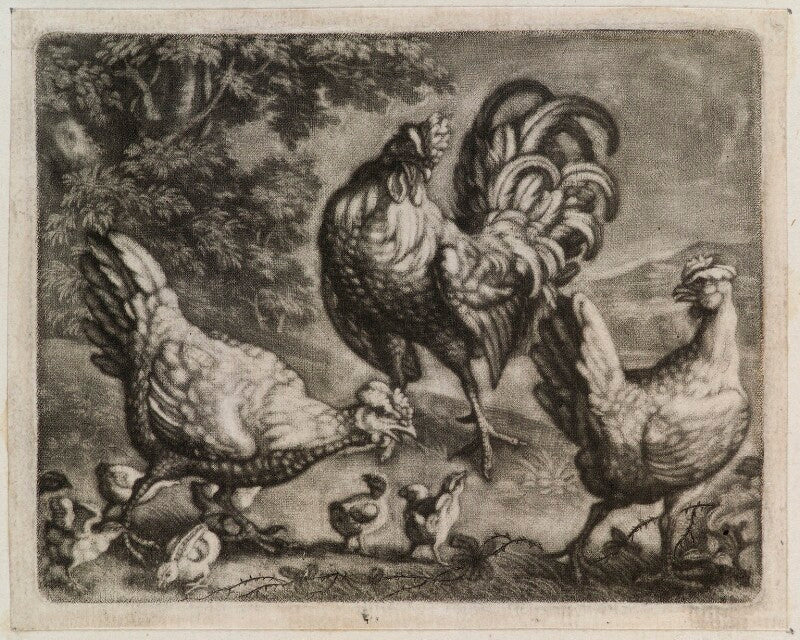Cock with hens and chicks npg d11846