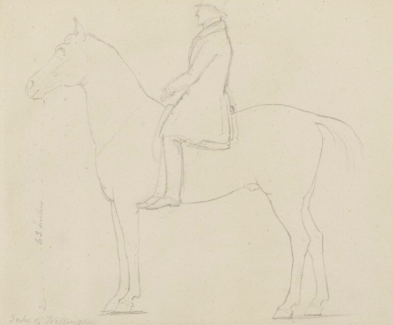 Arthur wellesley, 1st duke of wellington npg 316a(133)