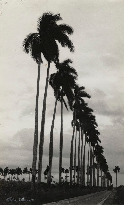 'dawn over cuba' npg x132365