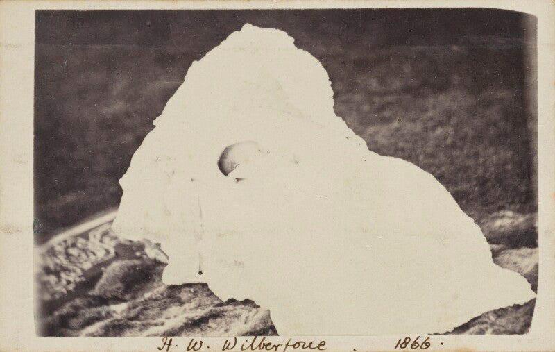 Sir herbert william wilberforce npg ax9770