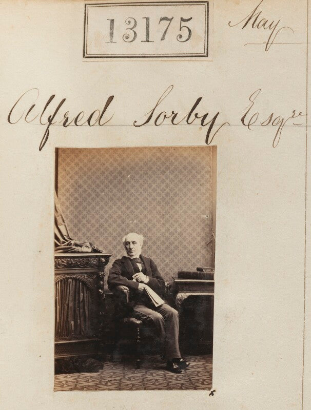 Alfred sorby npg ax62808