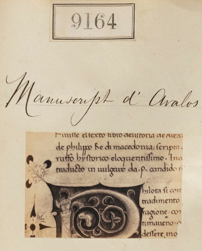 'detail from manuscript d'avalos' npg ax58986