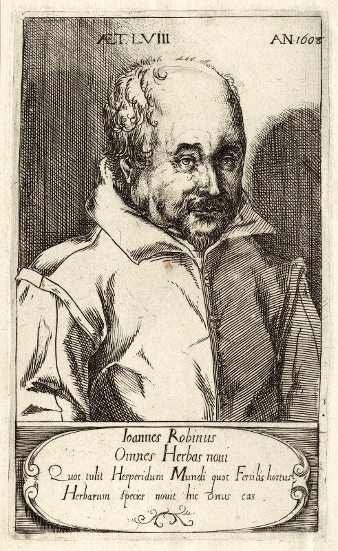 John robin npg d28037