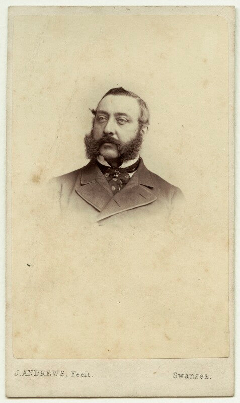 Henry hussey vivian, 1st baron swansea npg ax77082