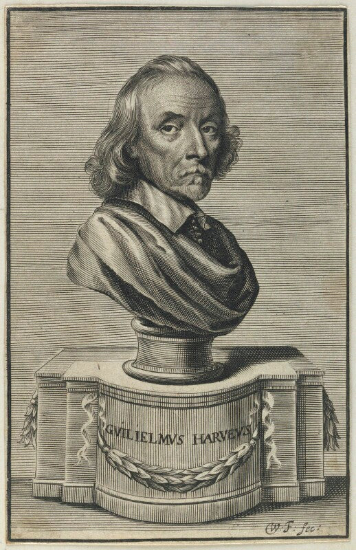 William harvey npg d22767