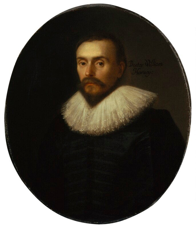 William harvey npg 5115