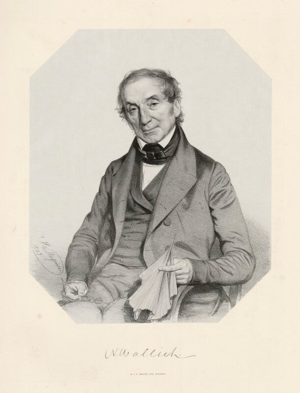 Nathaniel wallich npg d11469