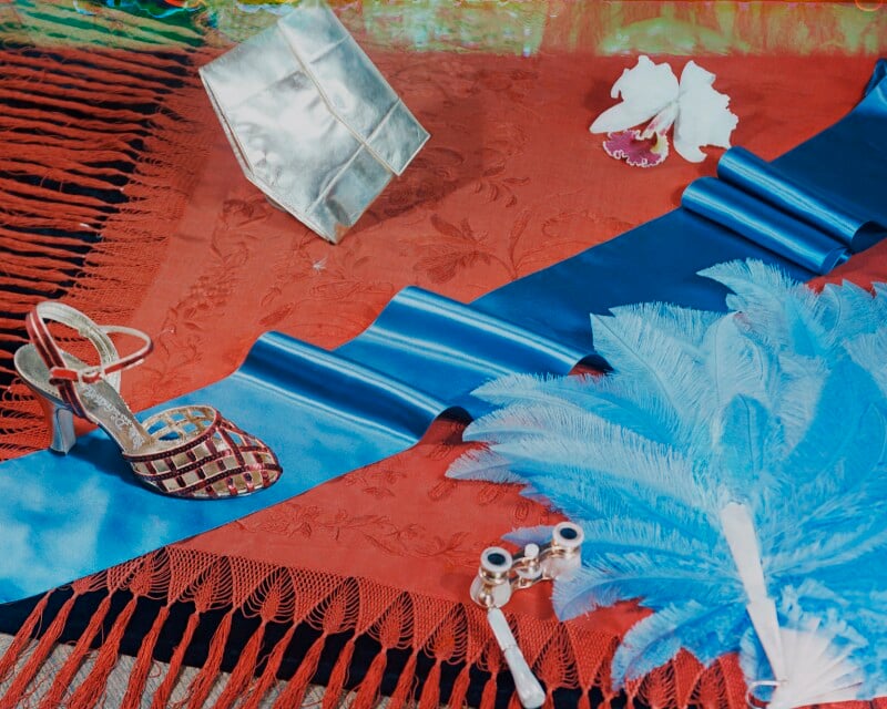 'chinese shawl' npg x221970