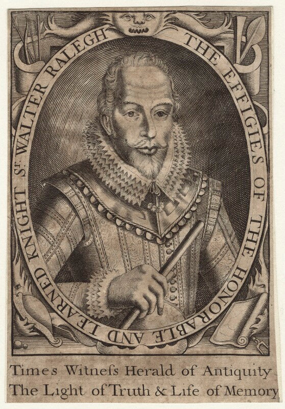 Sir walter ralegh (raleigh) npg d21169