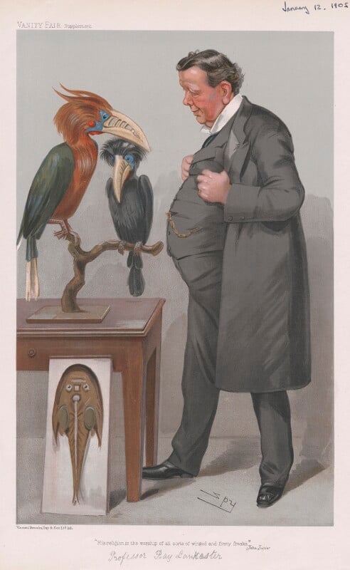 Sir (edwin) ray lankester ('men of the day. no. 946. "his religion is the worship of all sorts of winged and finny freaks jehu junior"') npg d45257