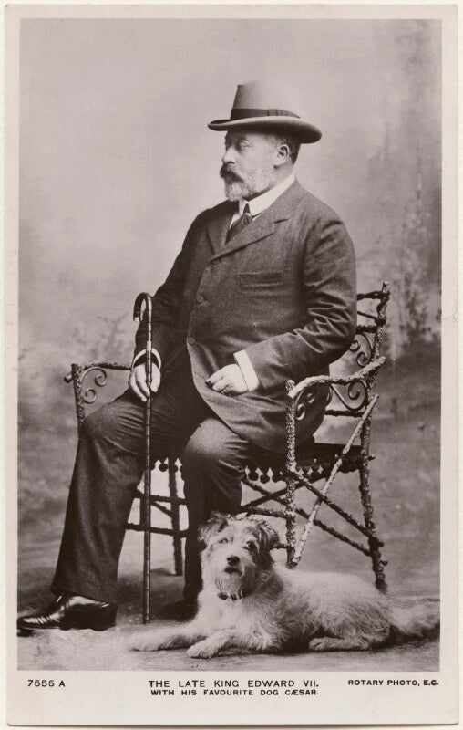 King edward vii npg x196402