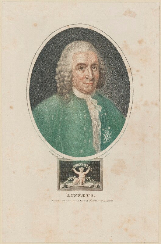 Carl linnaeus npg d14057