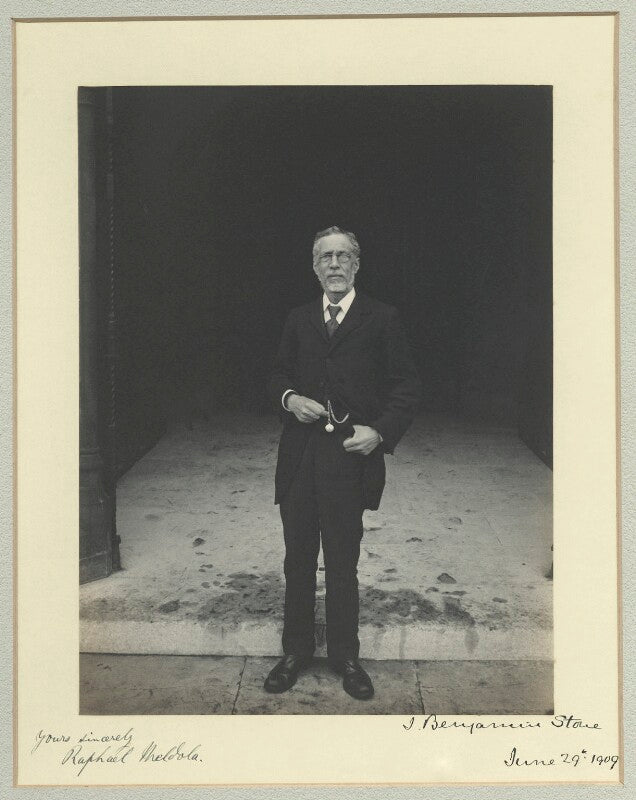 Raphael meldola npg x44879