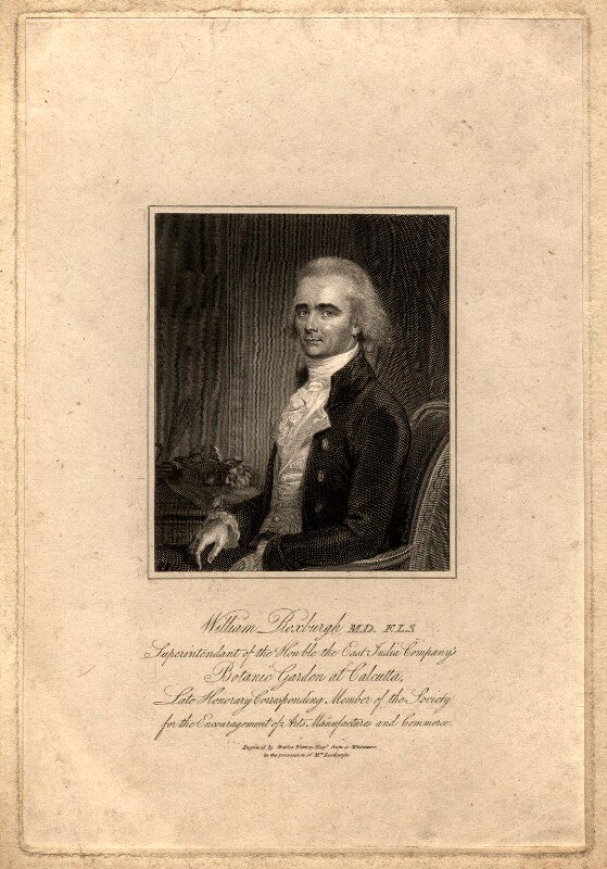 William roxburgh npg d5848