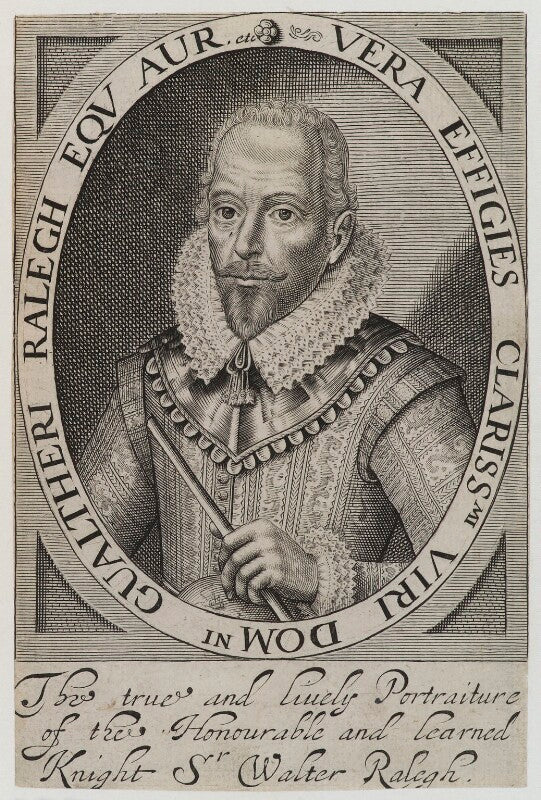 Sir walter ralegh (raleigh) npg d19398